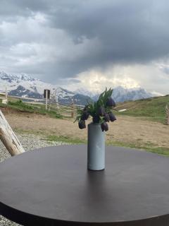 სასტუმრო ქორულდი / Hotel Koruldi - 4