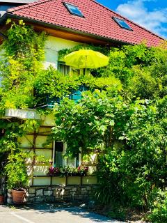 Pension am Campus Velden - Velden am Wörthersee - 5