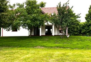 Fűzfa Porta - Balatoncsicsó - 2