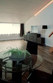 Muota River Loft & Muota Industry Apartment near Stoos - Muotathal - 3