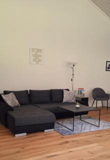 Muota River Loft & Muota Industry Apartment near Stoos - Muotathal - 7