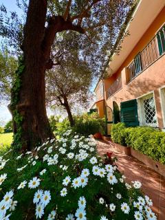 Villa Luxe Mare & Parco Privato - - 1