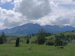 Brvnare Vujičic - 7