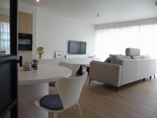 Lovely sunny apartment near the beach - With free garage - Nieuwpoort - 1