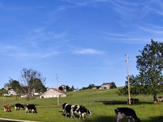 Country Haven - 2
