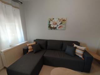 Paeonia Apartment - Città di Lefkada - 9