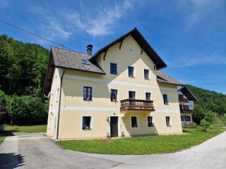 Ferienwohnungen Viktoria Buchegger - Grünau im Almtal - 0