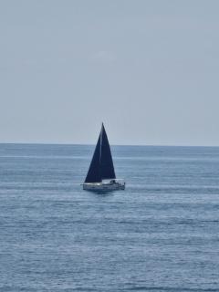 La perla bianca - Genoa - 4