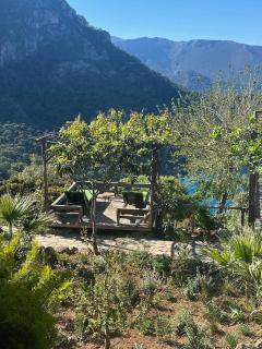 Olive Garden Kabak - 8