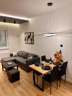MANIROSI 19 - Apartment - Palić - 0