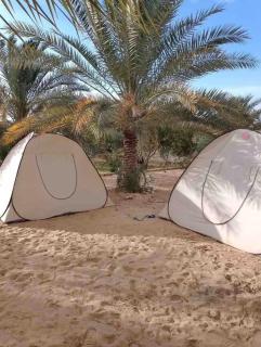 Monica Camp Siwa مونيكا كامب سيوة - Siwa - 8
