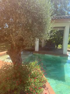 Villa d’exception Montpellier - Saint-Jean-de-Védas - 8