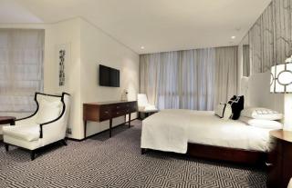 Hotel ROYEL PLAZA Near Delhi Airport Unit by Gross Group - Nueva Delhi - 1