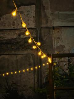 The Whispering Wall Cinema Where Stories Light the Night - 3