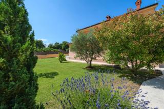 Villa dido Nini - Cere - 6