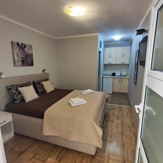 Apartmani Radovic 2 - Budva - 7