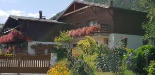 Chalet les Myrtilles - Metzeral - 6