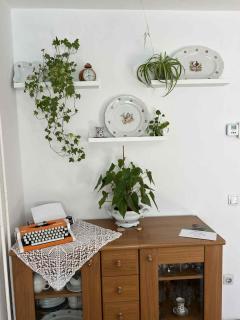 Green Garden Home - Cerknica (Circonio) - 3