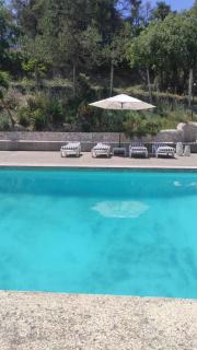 Bosquet de l'Auró - 7