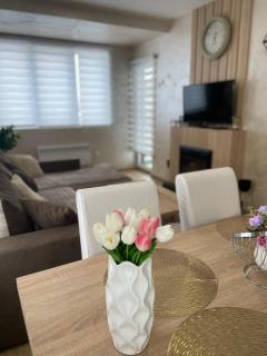 City centar lux apartman - Zlatibor - 0