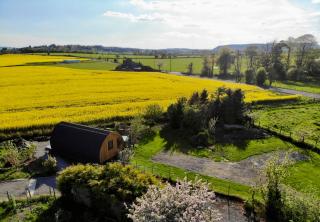Perfect Perthshire Pod - Fernlea - Errol - 1