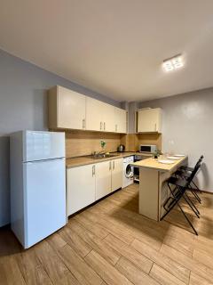 Trifonov loft - Sofia - 5