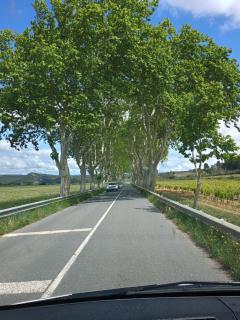 Château de Prax Viel - piscine et mini ferme, climatisé - 5