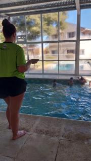Las Lomas Suites & Spa - 6