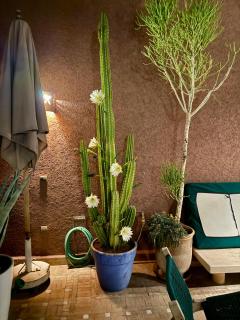 "LE 21", EXCLUSIVE LUXURY DUPLEX 400m FROM JEMAA EL FNA PLACE -HAMMAM-JACUZZI-KOUTOUBIA VIEW-ROOF TERRACE -SPEED WIFI - Marrakech - 8