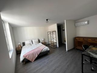 2 pièces parking, plein centre au calme climatisé - 8