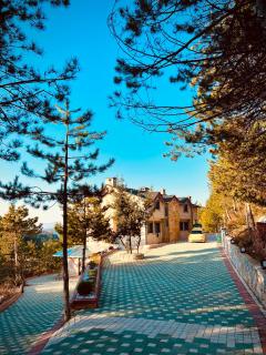 Niceland İznik - - 1