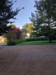 Belmont Inn - 8