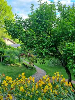 Holiday House River Mrežnica - Duga Resa - 7