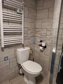 Appartements rénové a neuf au rez de chaussé de notre maison - Saint-Fiacre - 6