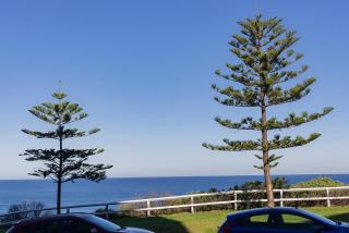 Surfside Newcastle Beach - Newcastle - 1
