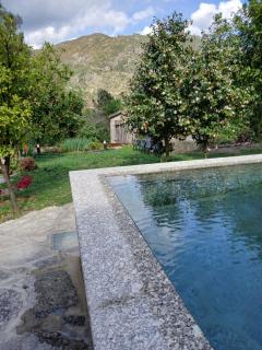 Villa Dos Santos - Gerês Country House - Geres - 7