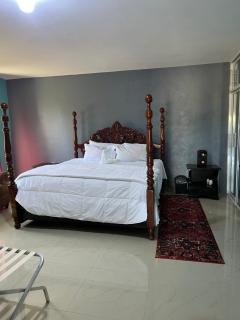 Auglo villa house - Black River - 6