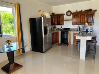 Auglo villa house - Black River - 4