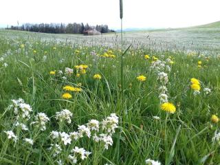 Moni's holiday home - Haldenwang - 4