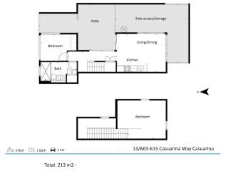 Pandanus 13 - Casuarina - 6