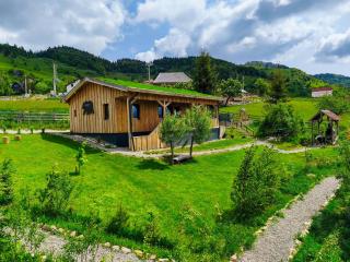Casa WEZLY 2 - Măgura - 0