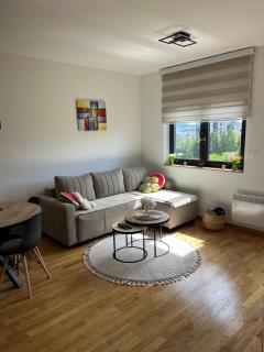 Apartman Vidik Zlatibor - Zlatibor - 8