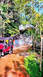 Green porticos villas munnar - Anachal - 7