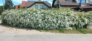 Apartament Słoneczny - Gdańsk - 9