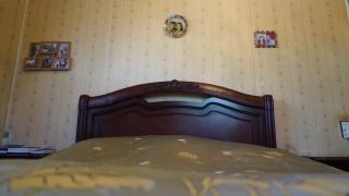 Abrahamyans Guesthouse - 5