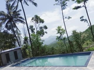 Beautiful Cottage with Swimming Pool At Kanthalloor - 9