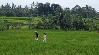Sacred Beji by Pramana Villas - Payangan - 2