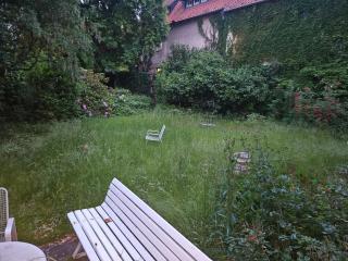 Rattenfänger Lebt - Hameln - 9
