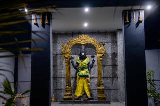 Celeste Farm Stories - Shamshabad - 1