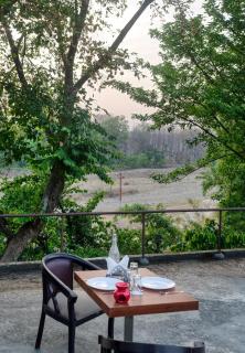 The Forest Roar - Ramnagar - 2